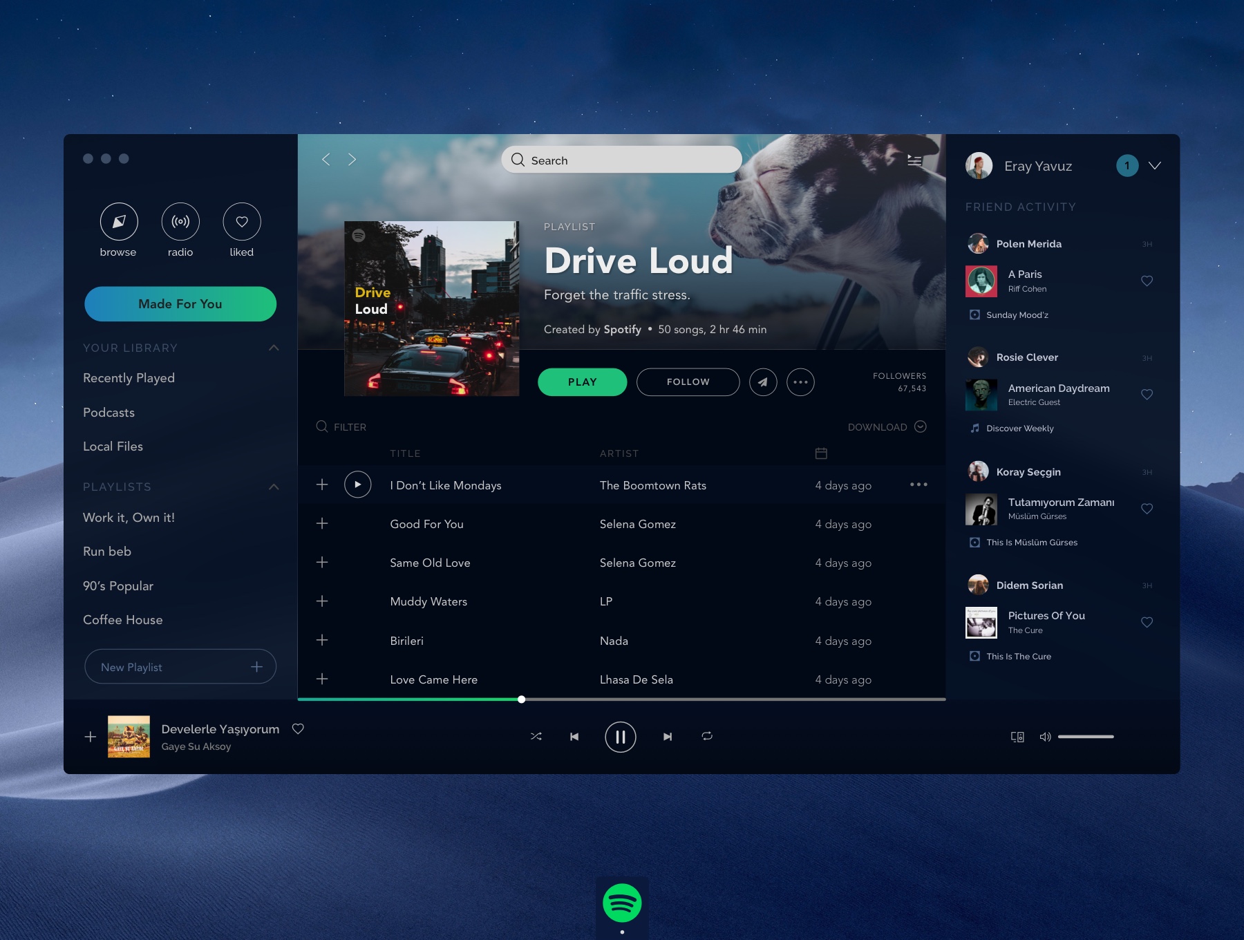 Spotify Concept Free - Download Fimga Resource